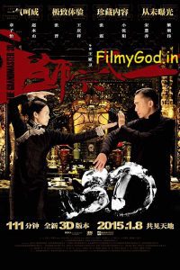 The Grandmaster (2013) BluRay Hindi Dubbed Dual Audio 480p [360MB] | 720p [1.1GB] Download