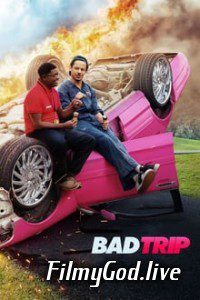 Bad Trip (2021) Hindi Dubbed Hindi-English (Dual Audio) 480p | 720p Download