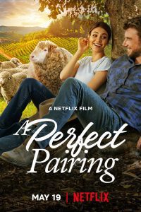 Download A Perfect Pairing (2022) Hindi Dubbed Dual Audio 480p 720p 1080p