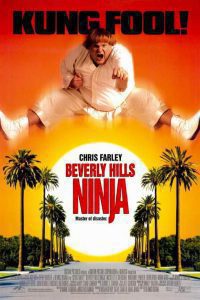 Beverly Hills Ninja (1997) Hindi Dubbed Dual Audio {Hindi-English} Download 480p 720p 1080p