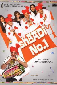 Shaadi No.1 (2005) Hindi Full Movie Download WEB-DL 480p 720p 1080p