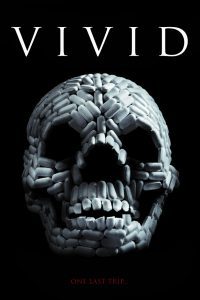 VIViD (2011) WEB-DL Dual Audio {Hindi-English} Movie 480p 720p 1080p Flmyhunk