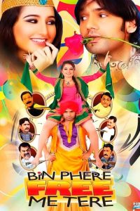 Download Bin Phere Free Me Tere (2013) Hindi Full Movie 480p 720p 1080p