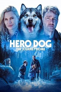 Download Against The Wild III: The Journey Home / Hero Dog: The Journey Home (2021) WEB-DL Dual Audio {Hindi-English} Full Movie 480p 720p 1080p